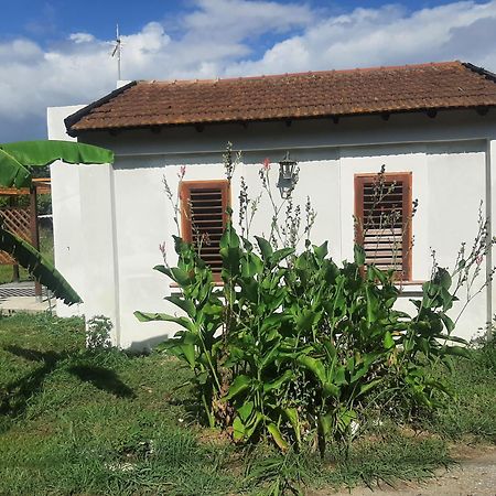 Azienda Agricola Neocastrum Lamezia Terme Eksteriør bilde