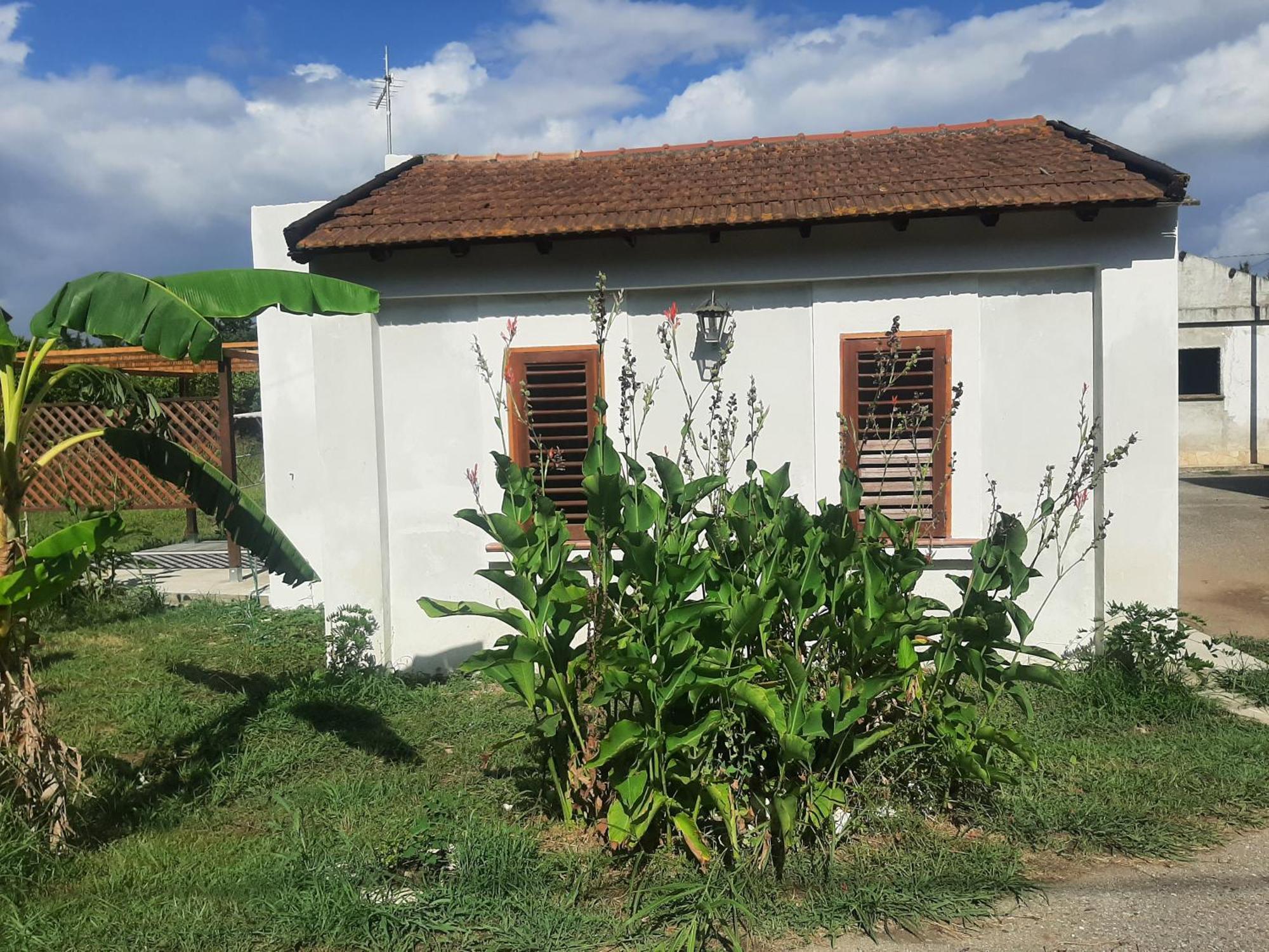 Azienda Agricola Neocastrum Lamezia Terme Eksteriør bilde